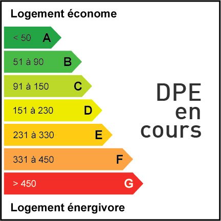 Étiquette énergie indiquant que le DPE est en cours.